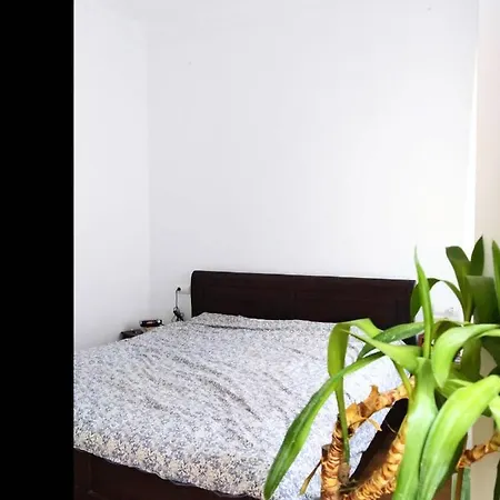 Centric House 100m From The Beach